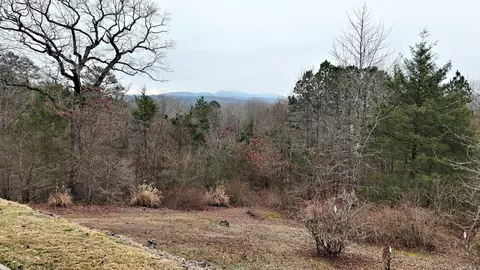 249 Polk Road 48, Mena, AR 71953 photo 10