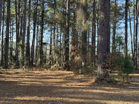 4706 Ramick Rd, Pine Bluff, AR 71603 photo 9