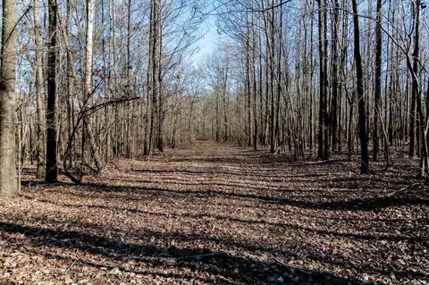 0000 Hwy 163, Cherry Valley, AR 72324 photo 41