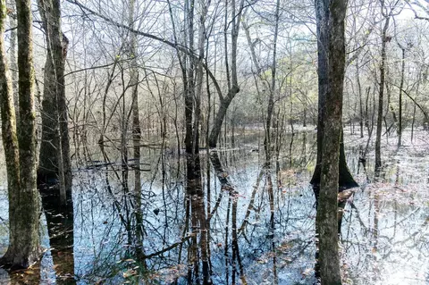 0000 Hwy 163, Cherry Valley, AR 72324 photo 35