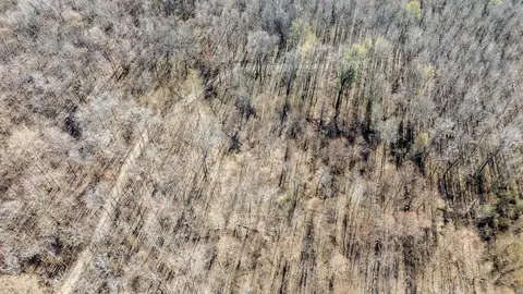 0000 Hwy 163, Cherry Valley, AR 72324 photo 13