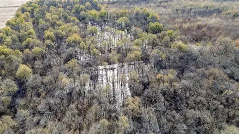 0000 Hwy 163, Cherry Valley, AR 72324 photo 7