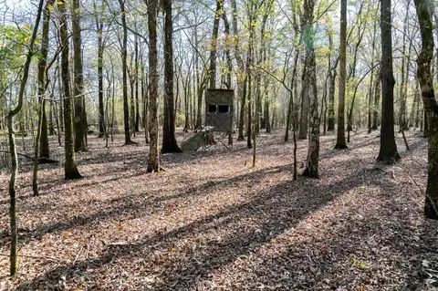 0000 Hwy 163, Cherry Valley, AR 72324 photo 33
