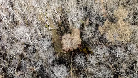 0000 Hwy 163, Cherry Valley, AR 72324 photo 9