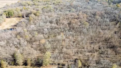0000 Hwy 163, Cherry Valley, AR 72324 photo 12