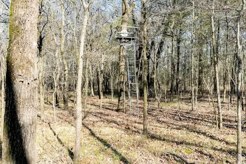 0000 Hwy 163, Cherry Valley, AR 72324 photo 32