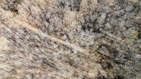 0000 Hwy 163, Cherry Valley, AR 72324 photo 3