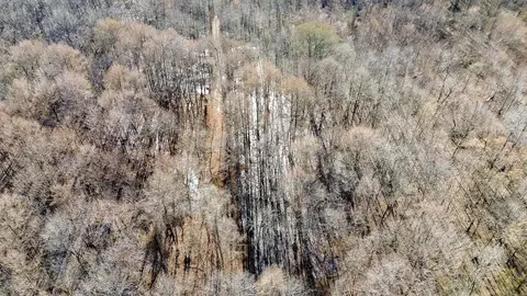 0000 Hwy 163, Cherry Valley, AR 72324 photo 11