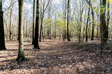 0000 Hwy 163, Cherry Valley, AR 72324 photo 30