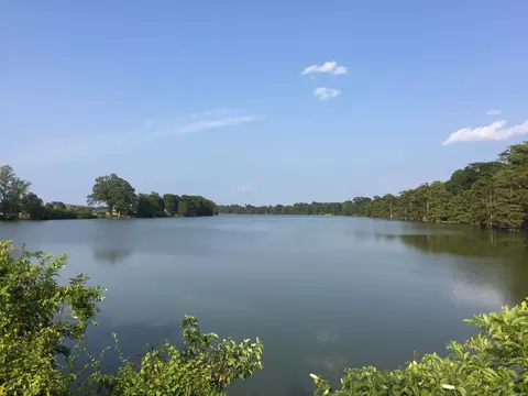 lot331 Mound View Dr, England, AR 72046 photo 6