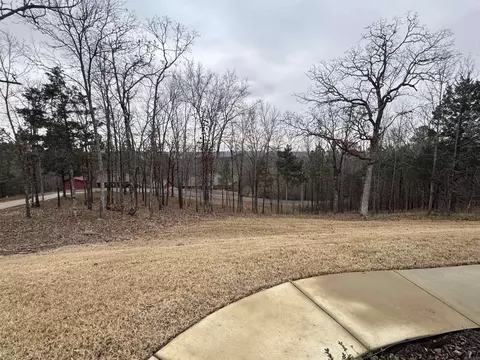 75 Summit Rd, Conway, AR 72032 photo 28
