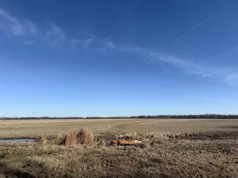 21870 Highway 70, Heth, AR 72346 photo 22
