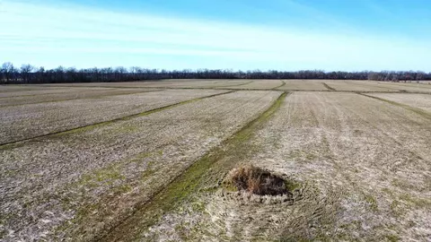 21870 Highway 70, Heth, AR 72346 photo 6