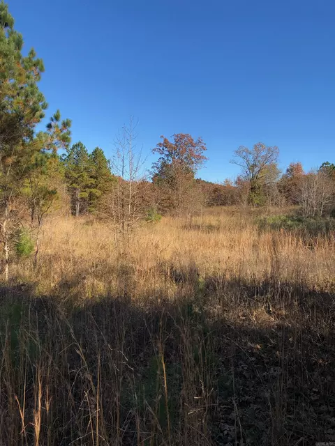 tbd Hwy 301, Murfreesboro, AR 71958 photo 5