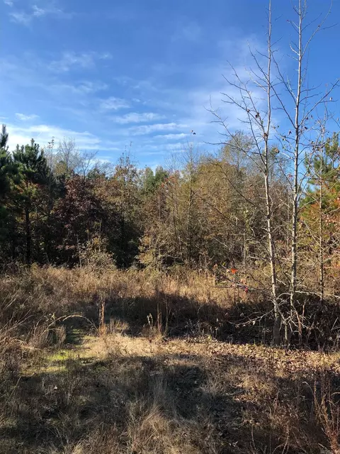 tbd Hwy 301, Murfreesboro, AR 71958 photo 6