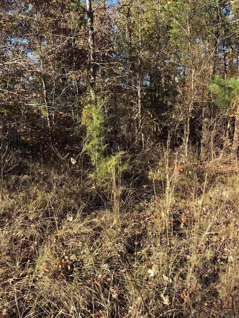 tbd Hwy 301, Murfreesboro, AR 71958 photo 8
