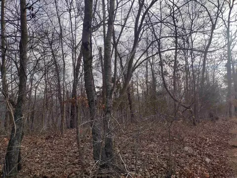 0 Geier Rd, Mountain View, AR 72560
