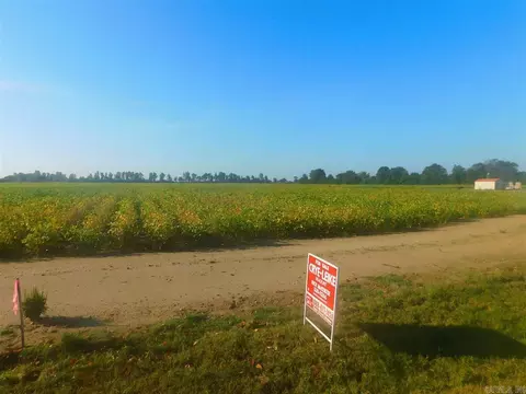 39 W 10 Acres W Main, Trumann, AR 72472 photo 8