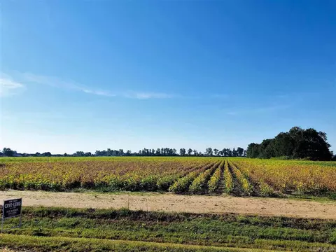 39 W 10 Acres W Main, Trumann, AR 72472