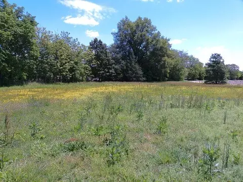 100 Dorton, Bay, AR 72411 photo 5