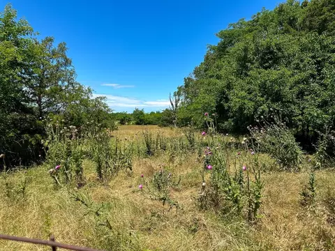 4115 Johnson View Rd, Wiseman, AR 72587 photo 31
