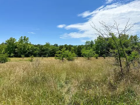 4115 Johnson View Rd, Wiseman, AR 72587 photo 22