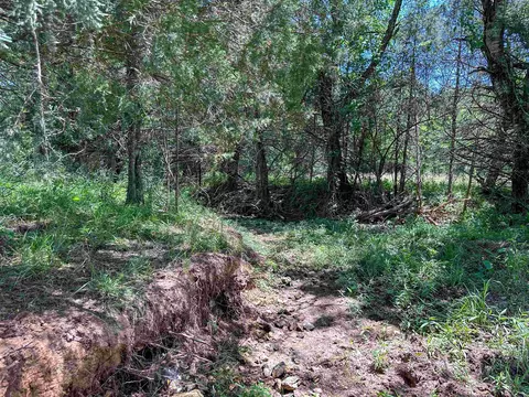4115 Johnson View Rd, Wiseman, AR 72587 photo 36