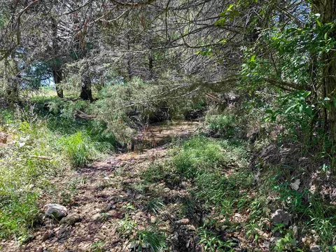 4115 Johnson View Rd, Wiseman, AR 72587 photo 35