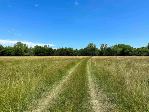4115 Johnson View Rd, Wiseman, AR 72587 photo 8