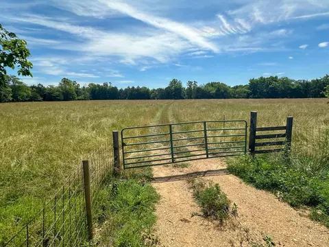 4115 Johnson View Rd, Wiseman, AR 72587 photo 7