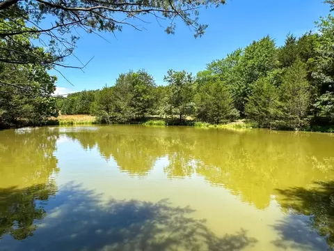 4115 Johnson View Rd, Wiseman, AR 72587 photo 28