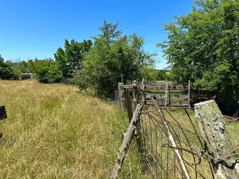 4115 Johnson View Rd, Wiseman, AR 72587 photo 30