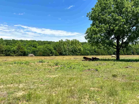 4115 Johnson View Rd, Wiseman, AR 72587 photo 11