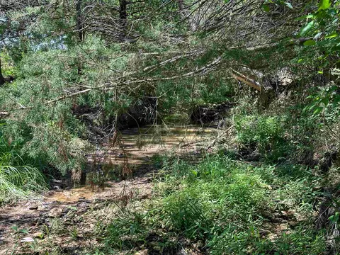 4115 Johnson View Rd, Wiseman, AR 72587 photo 34