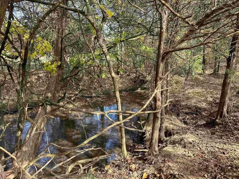 4115 Johnson View Rd, Wiseman, AR 72587 photo 32