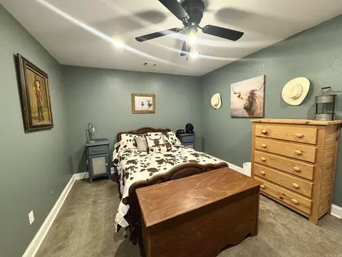 656 Pitard Loop, Mountain View, AR 72560 photo 19
