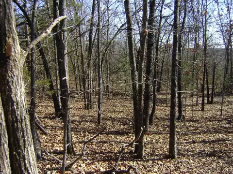 Nnn Venture Lane, Ash Flat, AR 72513