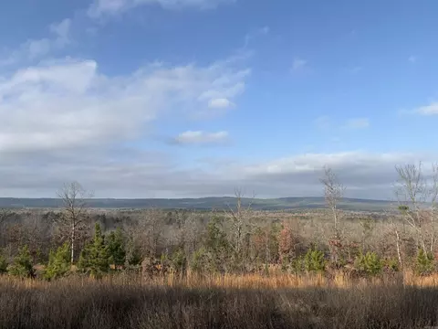 lot34 Waterview Dr, Roland, AR 72135