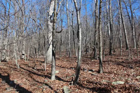 000 Possum Trot Rd, Compton, AR 72624 photo 26