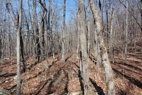 000 Possum Trot Rd, Compton, AR 72624 photo 28