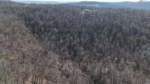 000 Possum Trot Rd, Compton, AR 72624 photo 4