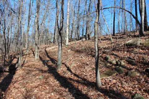 000 Possum Trot Rd, Compton, AR 72624 photo 33