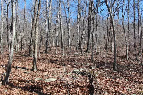 000 Possum Trot Rd, Compton, AR 72624 photo 25