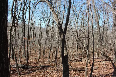 000 Possum Trot Rd, Compton, AR 72624 photo 30