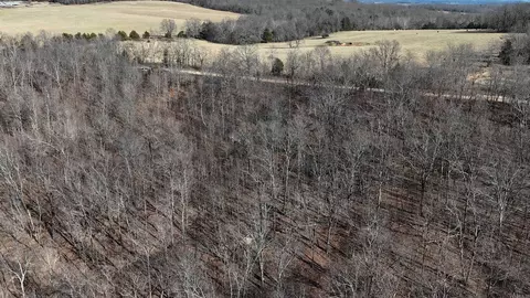 000 Possum Trot Rd, Compton, AR 72624 photo 8