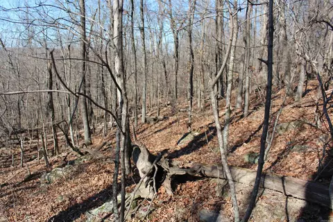 000 Possum Trot Rd, Compton, AR 72624 photo 31