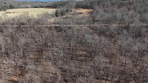 000 Possum Trot Rd, Compton, AR 72624 photo 7