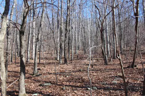000 Possum Trot Rd, Compton, AR 72624 photo 22