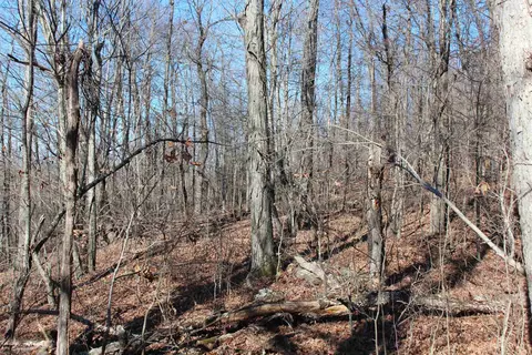 000 Possum Trot Rd, Compton, AR 72624 photo 18