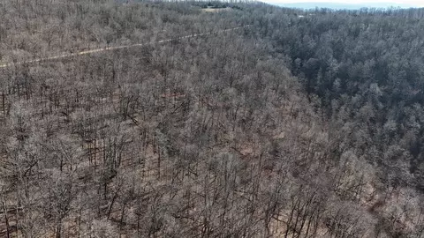 000 Possum Trot Rd, Compton, AR 72624 photo 5